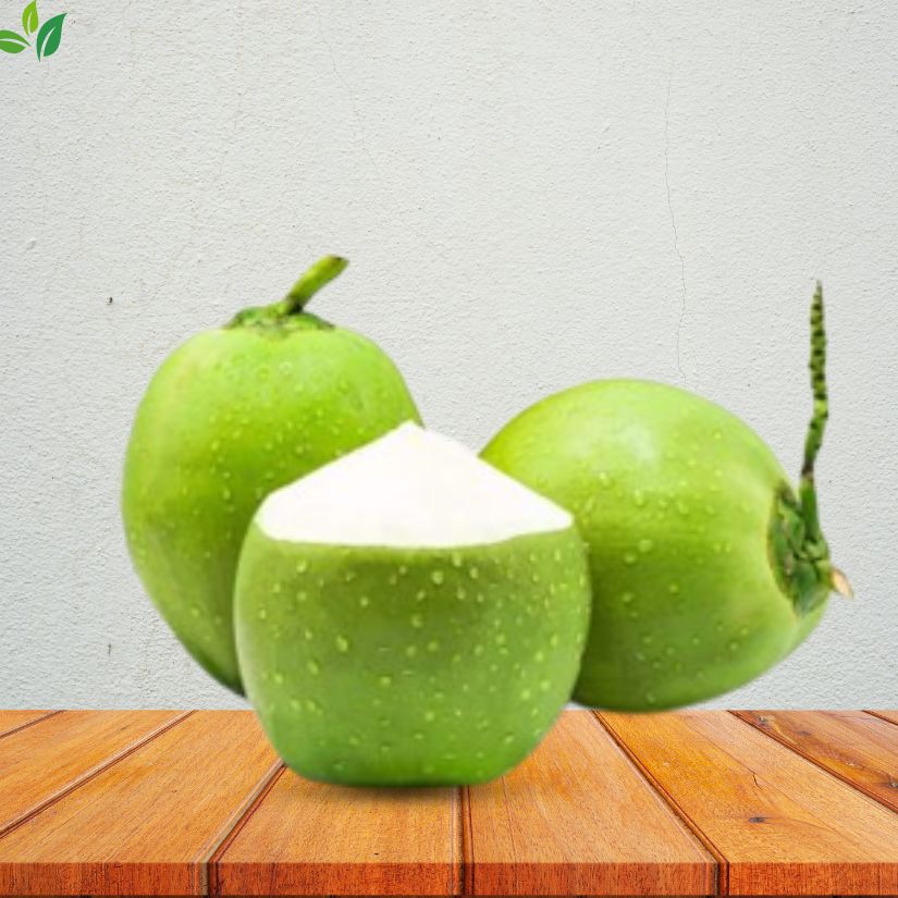 Tender Coconuts Jumbo